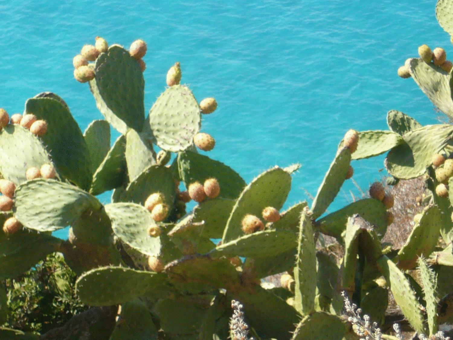 Hotel Virgilio Tropea Esterno foto