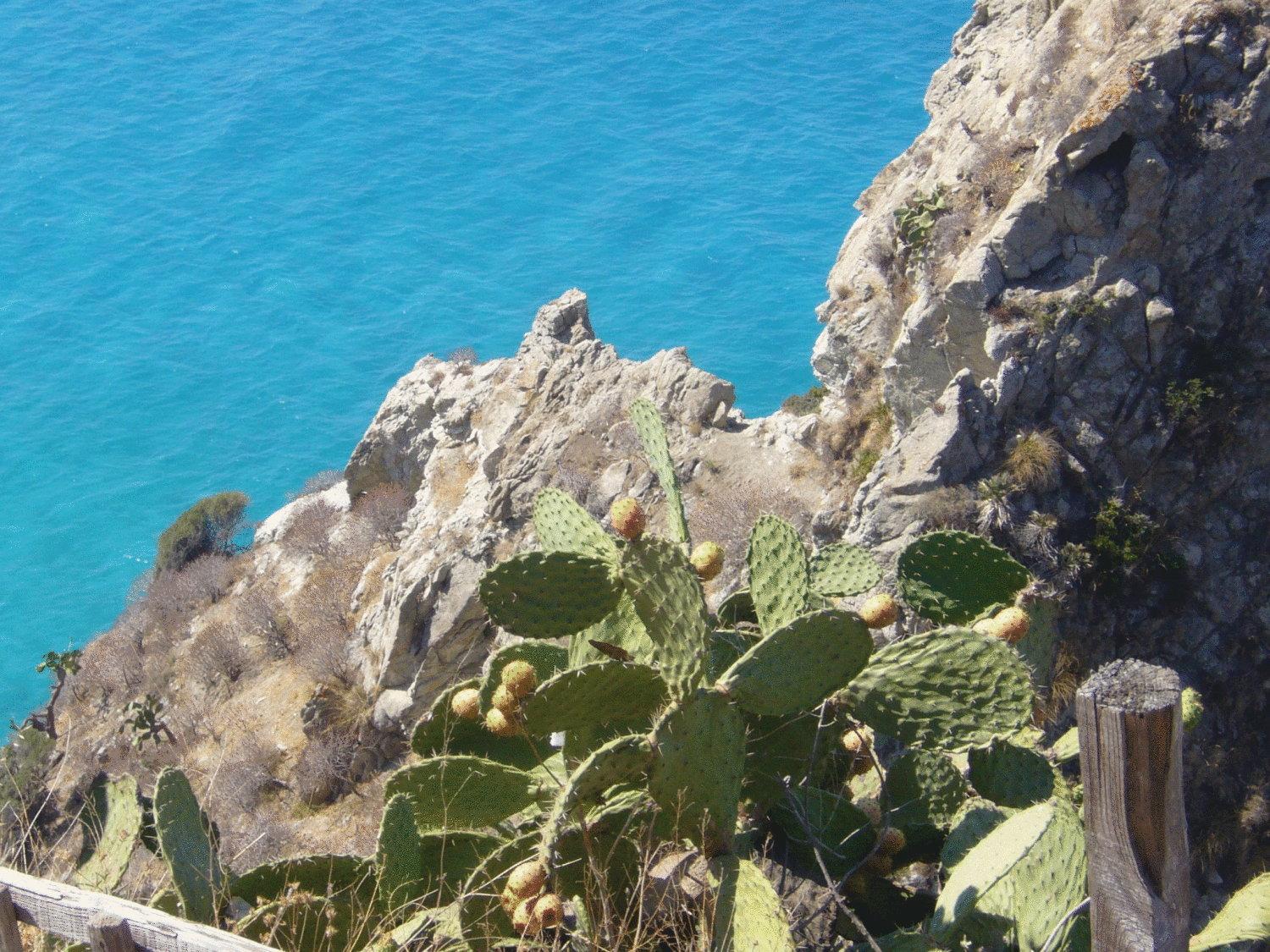Hotel Virgilio Tropea Esterno foto